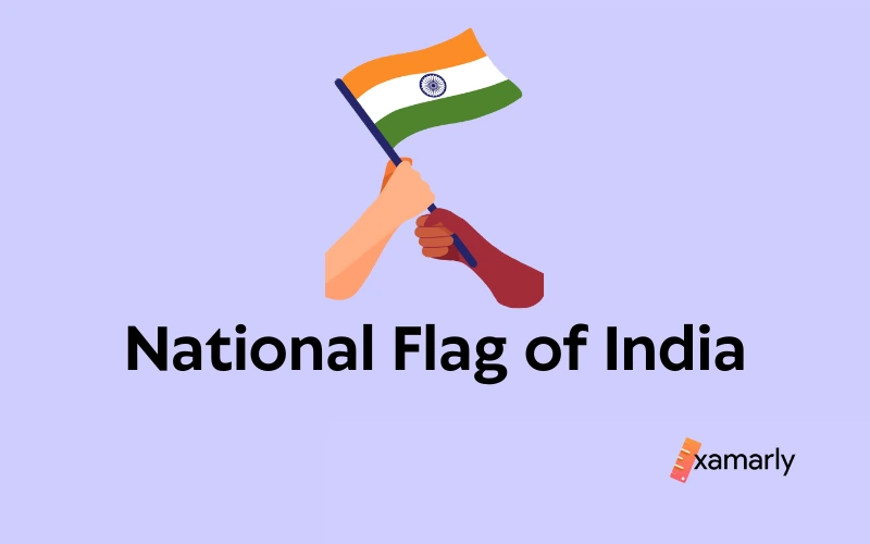 How to draw the National Flag of India-saigonsouth.com.vn