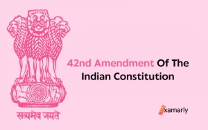 42nd Amendment Of The Indian Constitution