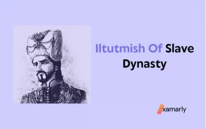 iltutmish of slave dynasty