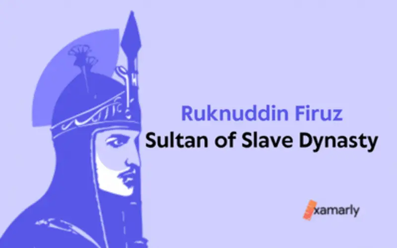 Ruknuddin Firuz Sultan of Slave Dynasty