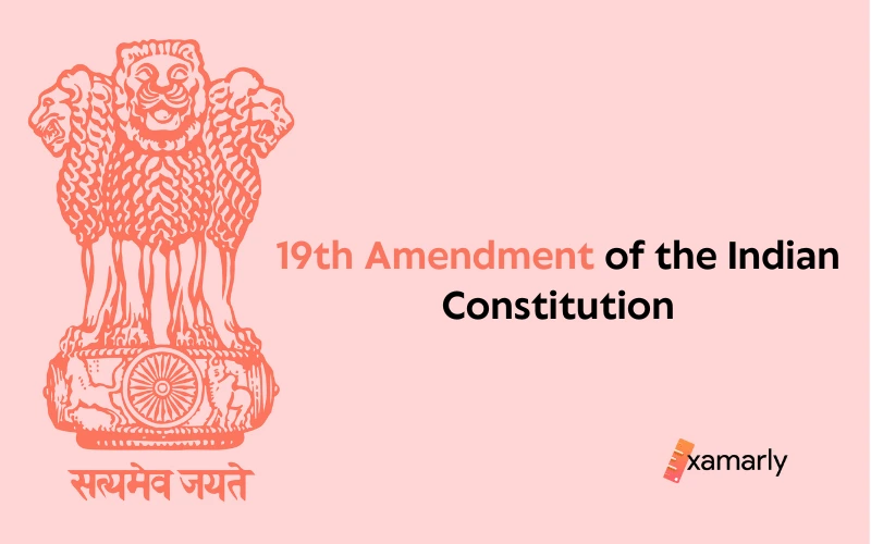 19th Amendment of the Indian Constitution
