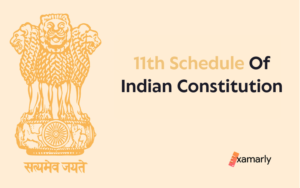 11th schedule of indian constitution