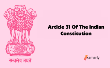 a article 31