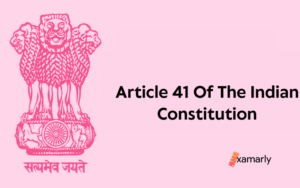 article 41 of the indian constitution