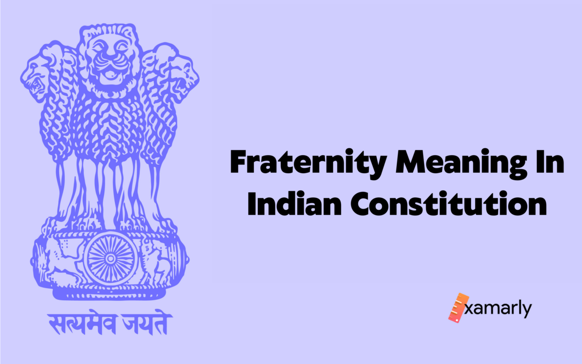 fraternity meaning in indian constitution