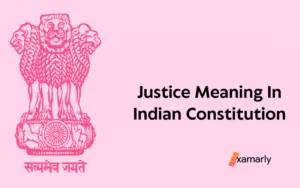 justice meaning in indian constitution