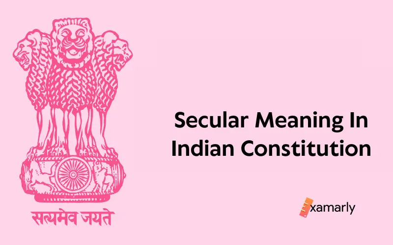 secular meaning in indian constitution