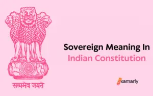 sovereign meaning in indian constitution