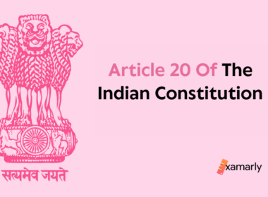article 20 of indian constitution