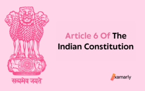 article 6 of indian constitution
