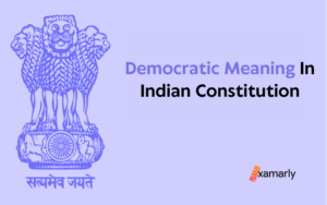 democratic meaning in indian constitution