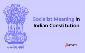 socialist meaning in indian constitution