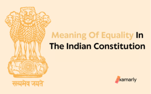 meaning of equality in indian constitution