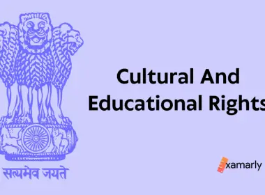 Cultural and Educational Rights