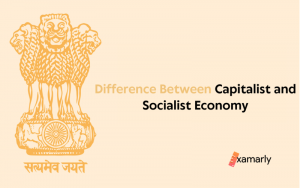 difference between capitalist and socialist economy