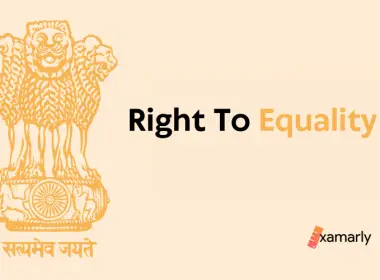 Right to Equality