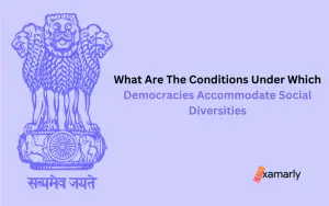 what are the conditions under which democracies accommodate social diversities