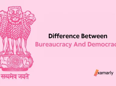 difference between bureaucracy and democracy