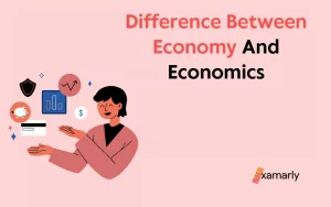 difference between economy and economics