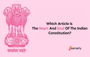 Which Article Is Heart And Soul Of Indian Constitution
