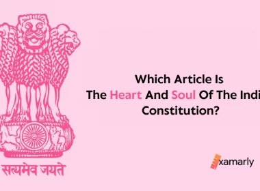 Which Article Is Heart And Soul Of Indian Constitution